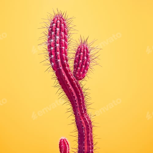 Preview: Cactus. Art Gallery Fashion Design. Minimal