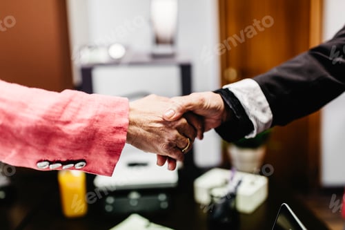 Preview: Close-up of two businesswomen shaking hands in office