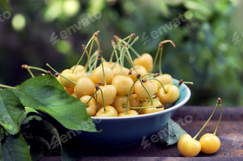 Preview: Yellow cherry in a bowl