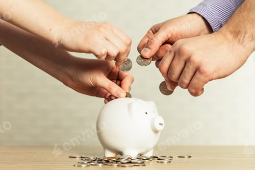 Preview: Inserting a coin into a piggy bank