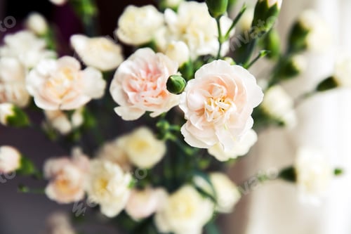 Preview: delicate bouquet of carnations in vintage style