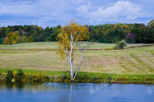 Preview: High angle shot of rural green areas near the Tunnel of Trees in Northern Michigan