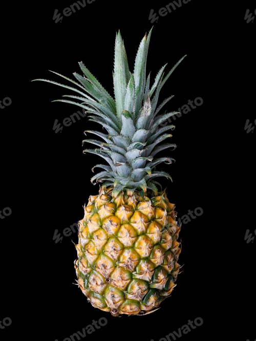 Preview: Closeup shot of a Pineapple (Ananas comosus) isolated on black background