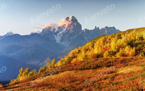 Preview: Thick fog on the mountain pass Goulet. Autumn Landscape. Georgia
