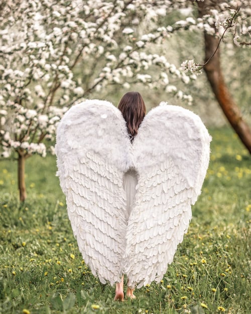 Preview: A beautiful woman angel stands in a blooming apple orchard. Spring