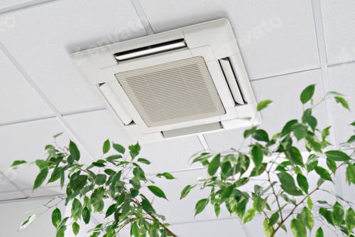 Preview: Bottom view cassette Air Conditioner on ceiling in office ficus plant leaves. Indoor air quality