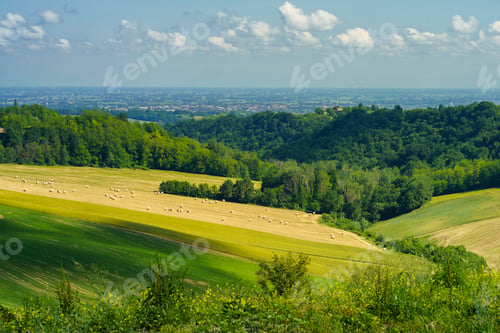 Preview: Rural landscape near Salsomaggiore and Fornovo, Parma, at springtime