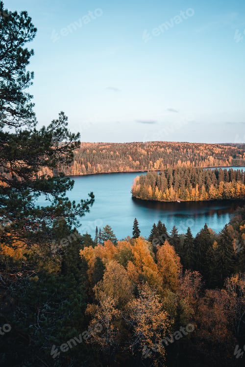 Preview: Vertical shot of a calm lake surrounded by trees