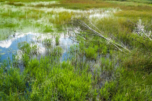Preview: Sky reflection in the backwaters