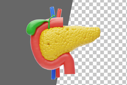 Preview: Pancreas 3D Icon