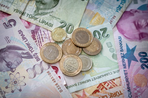 Preview: Various Turkish Lira Banknotes And Coins. Turkish Money