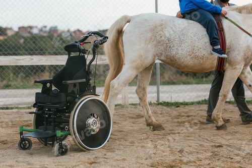 Preview: Wheelchair parked at an equine therapy center