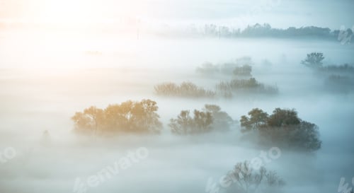 Preview: Landscape covered with mist