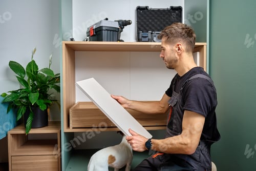 Preview: Man Assembling Furniture with Dog at Home