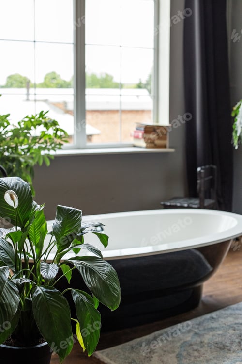 Visualização: Banheiro moderno, plantas da casa, banheira, janela grande com luz solar