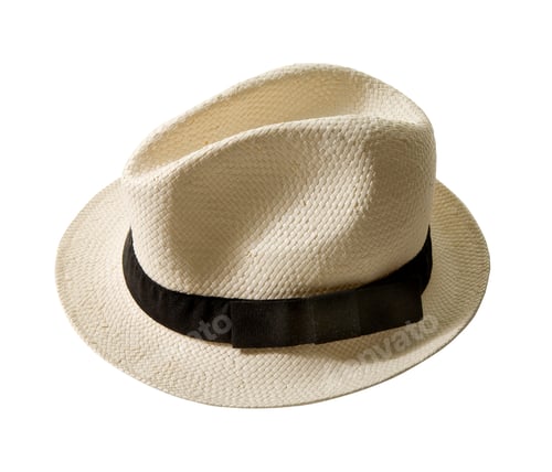 Preview: Raffia fedora hat with black band