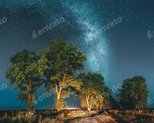 Preview: Milky Way Galaxy In Night Starry Sky Above Tree In Summer Forest. Glowing Stars Above Landscape