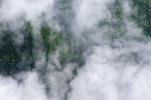 Preview: mountain forest and cloud mist