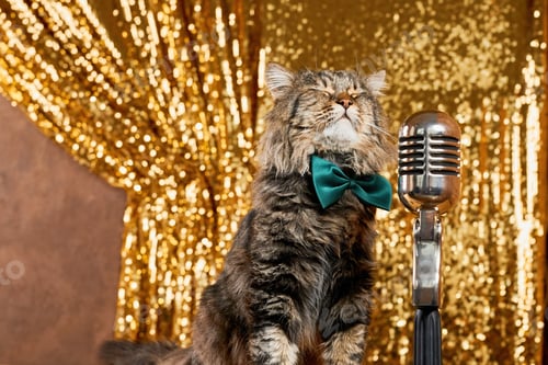 Preview: Charming curious cat as it leans in to inspect a vintage microphone.