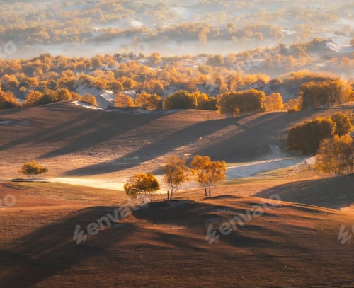 Preview: trees