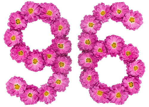 Preview: Arabic numeral 96, ninety six, from flowers of chrysanthemum, isolated on white background