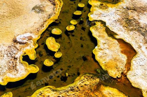 Preview: Yellowstone Bacteria Mat