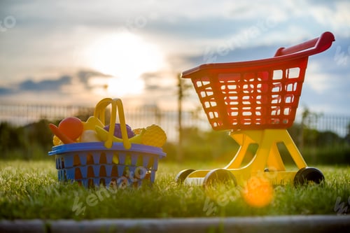 Preview: Shopping pushcart and a basket with toy fruits and vegetables. Bright plastic colorful toys for