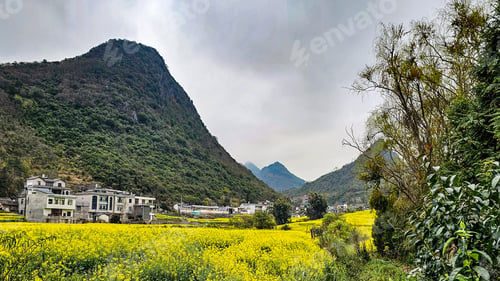 Preview: Scenic yellow field surrounded by trees, bushes, and mountains in Jiulong Waterfalls, China