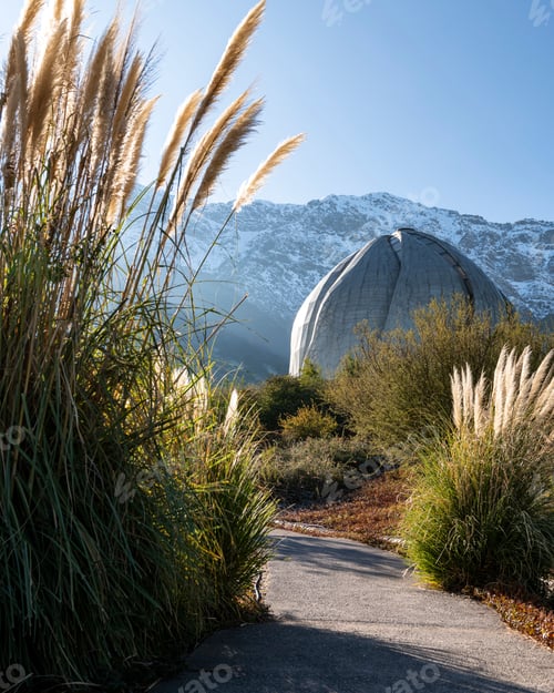 Vista previa: Grassy path with pampas and rock formation