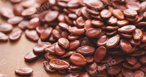 Preview: Dry Red watermelon seed for chinese new year