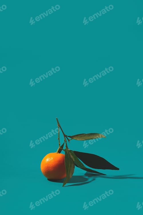 Preview: Tangerines on a turquoise background with shadows