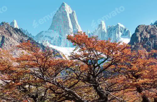 Preview: Autumn on Fitz Roy