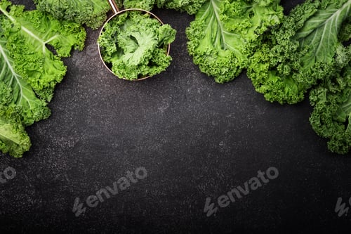 Preview: Kale cabbage. Green vegetable leaves