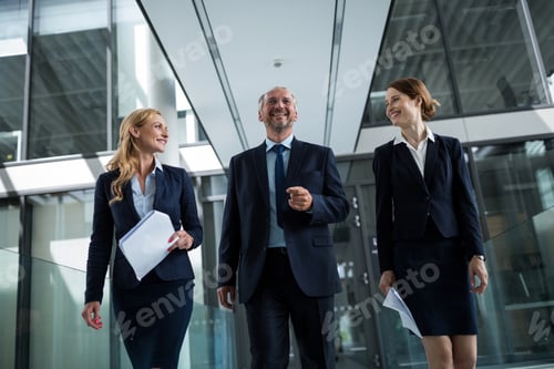 Preview: Businesspeople walking in the office