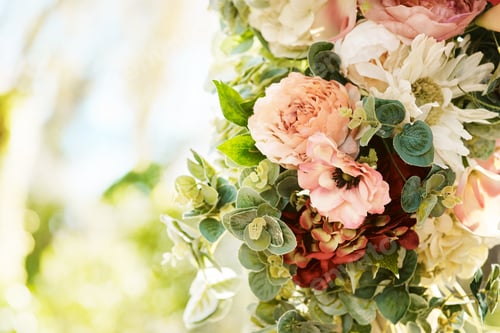 Preview: Still life shot of a beautiful bouquet of flowers outdoors