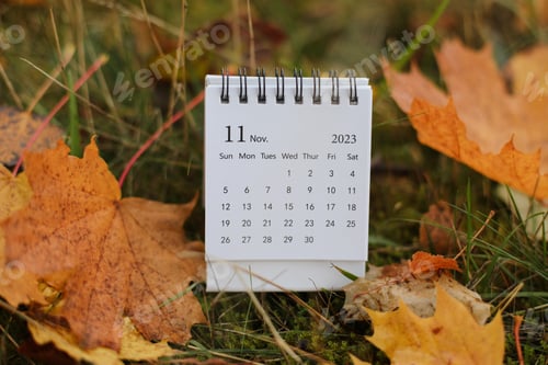 Preview: table calendar concept and copy space. November 2023 monthly calendar by maple leaves nature