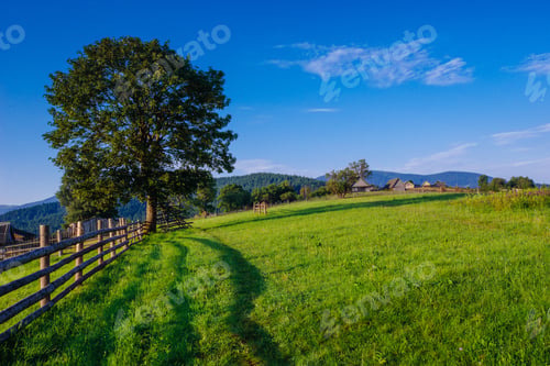 Preview: mysterious species in the Carpathians