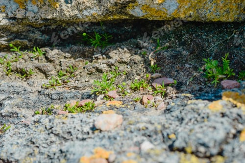 Preview: Old Ruins Of A Brick- Stone Walls Of The Ancient City. National Archaeological Park.