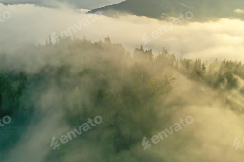 Preview: Aerial view of beautiful mountains and conifer trees on foggy morning