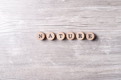 Preview: Word nature made from wooden letters