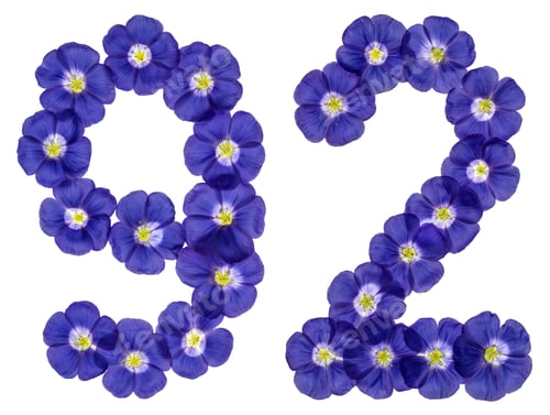 Preview: Arabic numeral 92, ninety two, from blue flowers of flax, isolated on white background