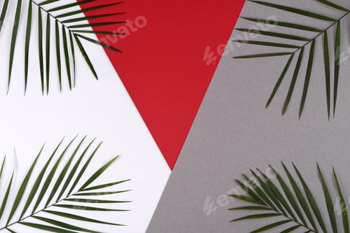 Preview: Beach accessories with shells and sea stars on a colored background