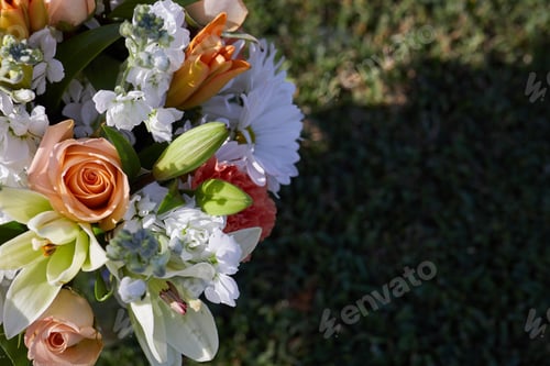 Preview: Top view of fresh flowers at the garden