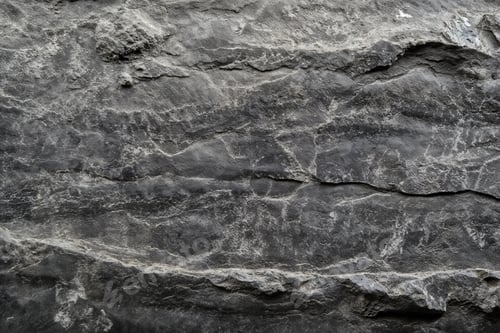 Preview: Detailed close-up of textured dark background showcasing natural patterns and geological features