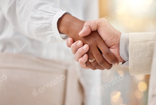 Preview: Handshake, agreement and greeting business people in partnership in a deal in a corporate office fo