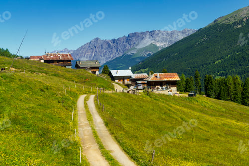 Preview: Passo Gavia, mountain pass in Lombardy, Italy, at summer