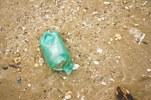 Preview: Plastic and microplastic in the sand beach