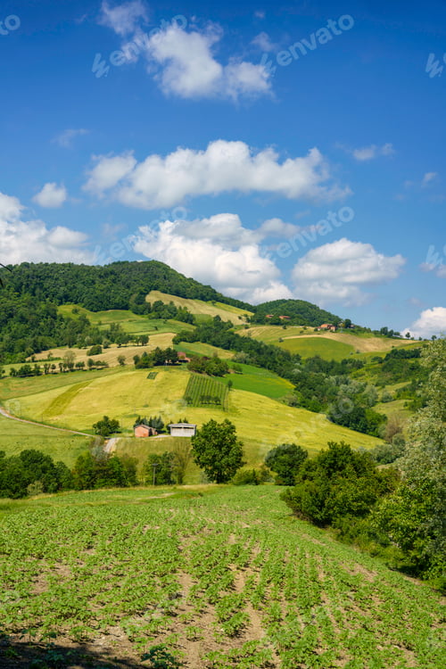 Preview: Rural landscape near Salsomaggiore and Fornovo, Parma, at springtime