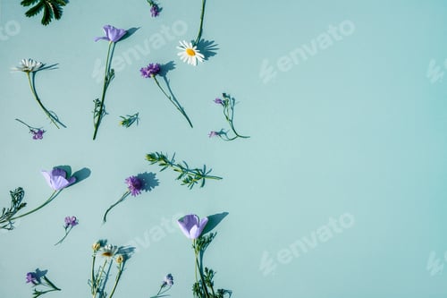 Preview: Small violet flowers on blue background. Copy space.