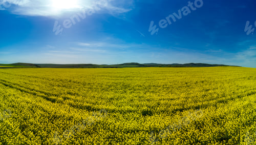 Preview: Meadows with a plant in a valley with fields against the background of the daytime sky in Bulgaria
